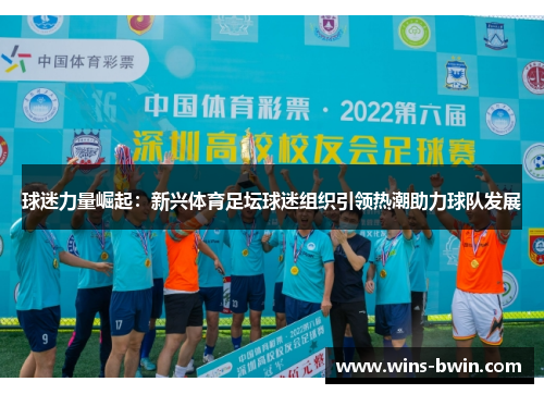 球迷力量崛起：新兴体育足坛球迷组织引领热潮助力球队发展