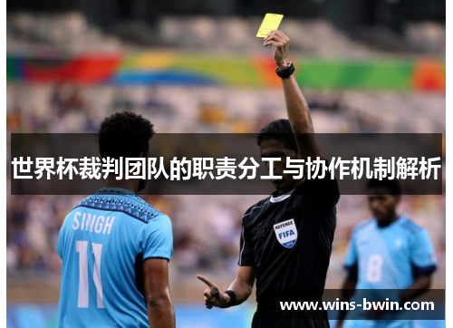 世界杯裁判团队的职责分工与协作机制解析