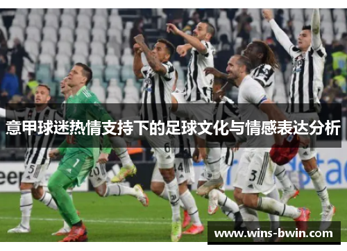 意甲球迷热情支持下的足球文化与情感表达分析 意甲球迷热情支持下的足球文化与情感表达分析