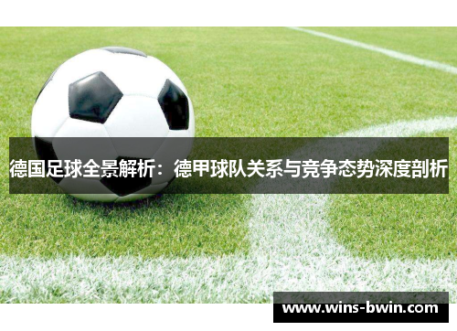 德国足球全景解析：德甲球队关系与竞争态势深度剖析
