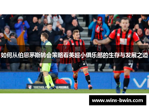 如何从伯恩茅斯转会策略看英超小俱乐部的生存与发展之道