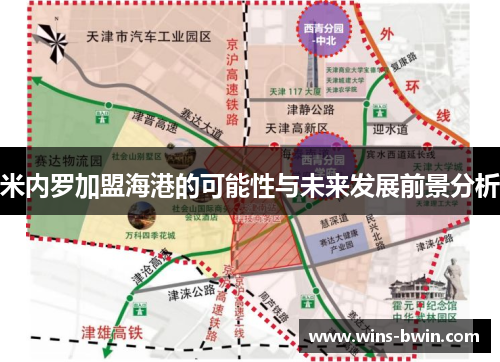 米内罗加盟海港的可能性与未来发展前景分析 米内罗加盟海港的可能性与未来发展前景分析