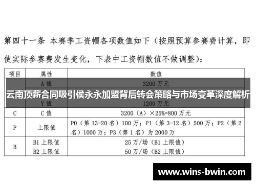 云南顶薪合同吸引侯永永加盟背后转会策略与市场变革深度解析 云南顶薪合同吸引侯永永加盟背后转会策略与市场变革深度解析