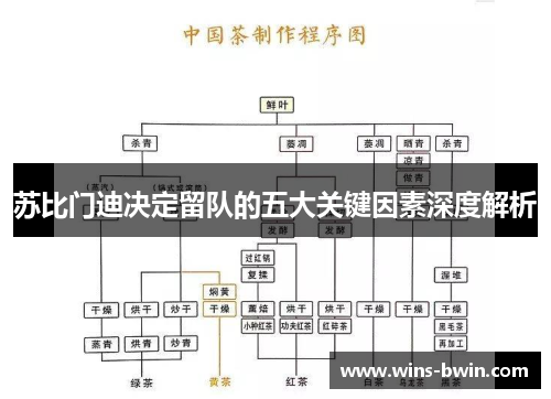 苏比门迪决定留队的五大关键因素深度解析 苏比门迪决定留队的五大关键因素深度解析