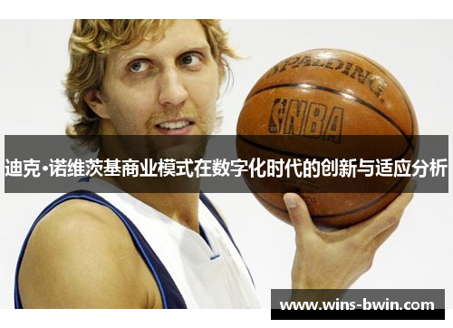 迪克·诺维茨基商业模式在数字化时代的创新与适应分析
