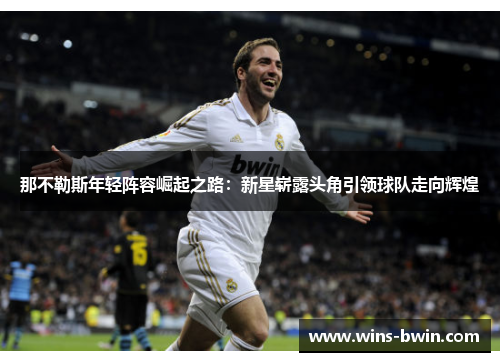 那不勒斯年轻阵容崛起之路：新星崭露头角引领球队走向辉煌