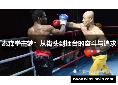 泰森拳击梦:从街头到擂台的奋斗与追求 泰森拳击梦:从街头到擂台的奋斗与追求
