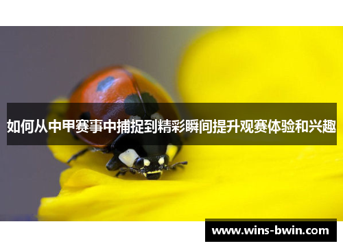 如何从中甲赛事中捕捉到精彩瞬间提升观赛体验和兴趣