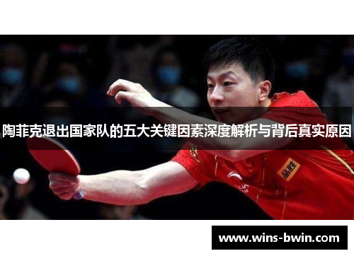 陶菲克退出国家队的五大关键因素深度解析与背后真实原因