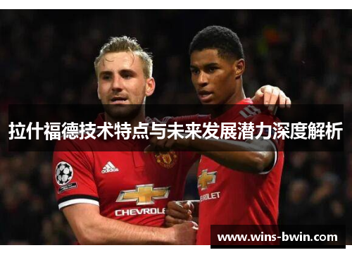拉什福德技术特点与未来发展潜力深度解析 拉什福德技术特点与未来发展潜力深度解析